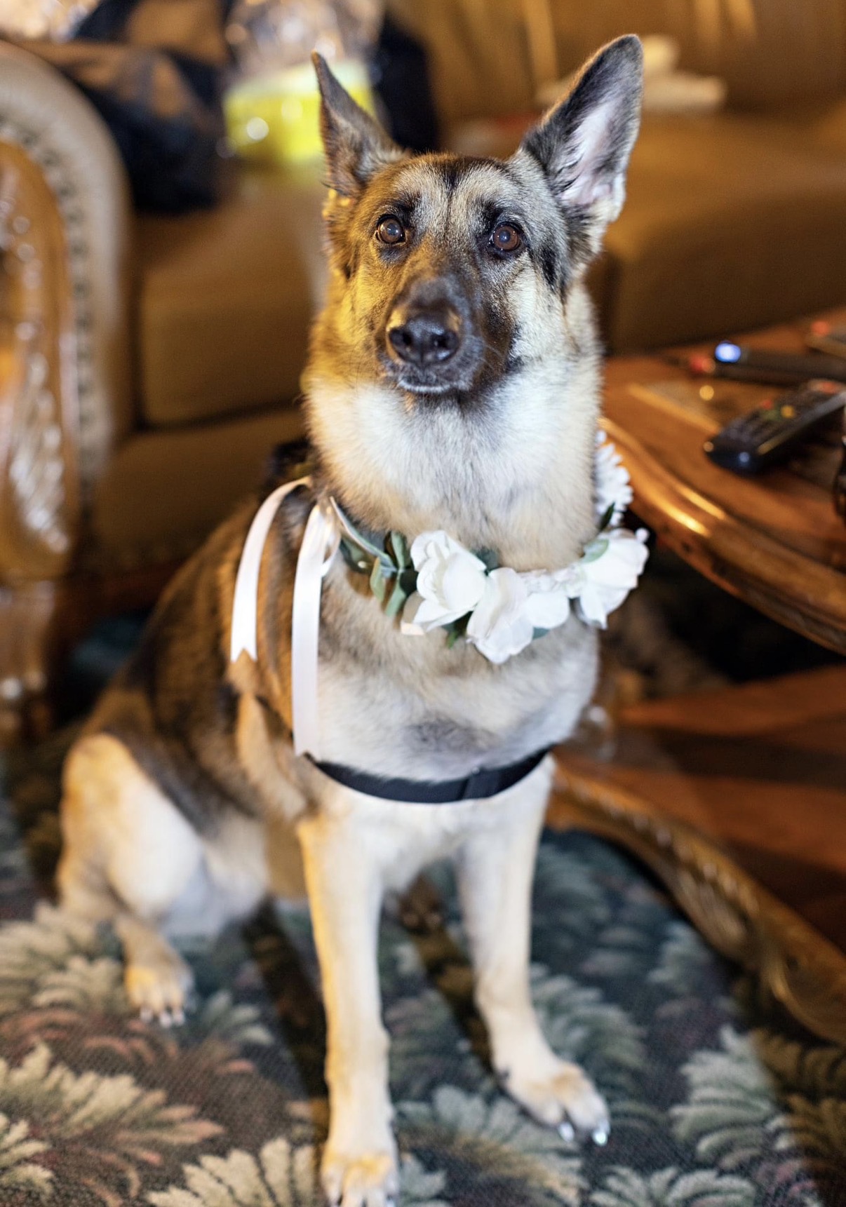Nala wearing flowers for her family's wedding